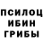 Героин хмурый M. Breadhard