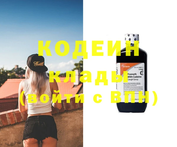 прущие грибы Абаза