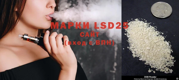 прущие грибы Абаза