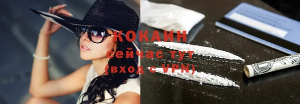 прущие грибы Абаза