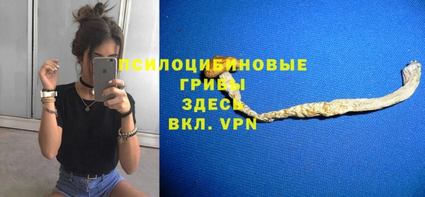 прущие грибы Абаза