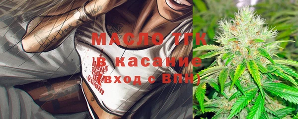 прущие грибы Абаза