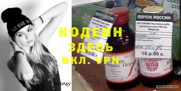 прущие грибы Абаза