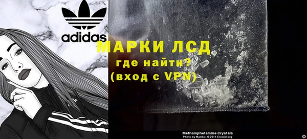 прущие грибы Абаза