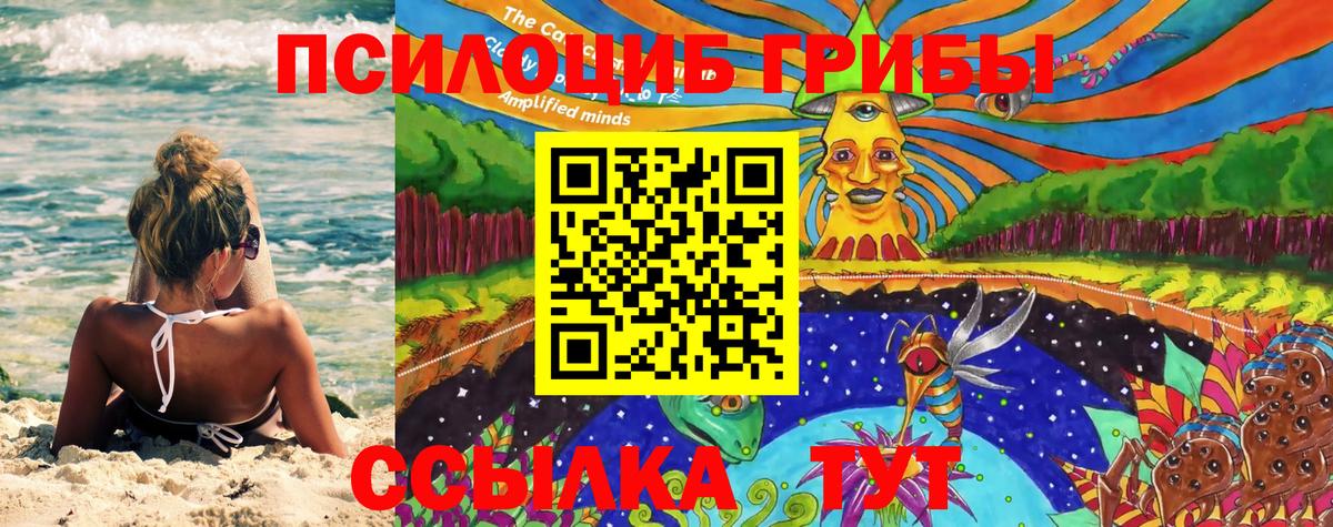 Усть-Кут  Галлюциногенные грибы Psilocybe  Вход с VPN 